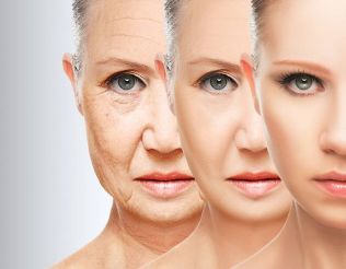 Factors that affect the natural and premature ageing